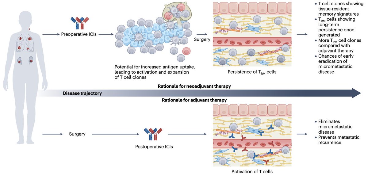 Diego A. Díaz-García tweet media