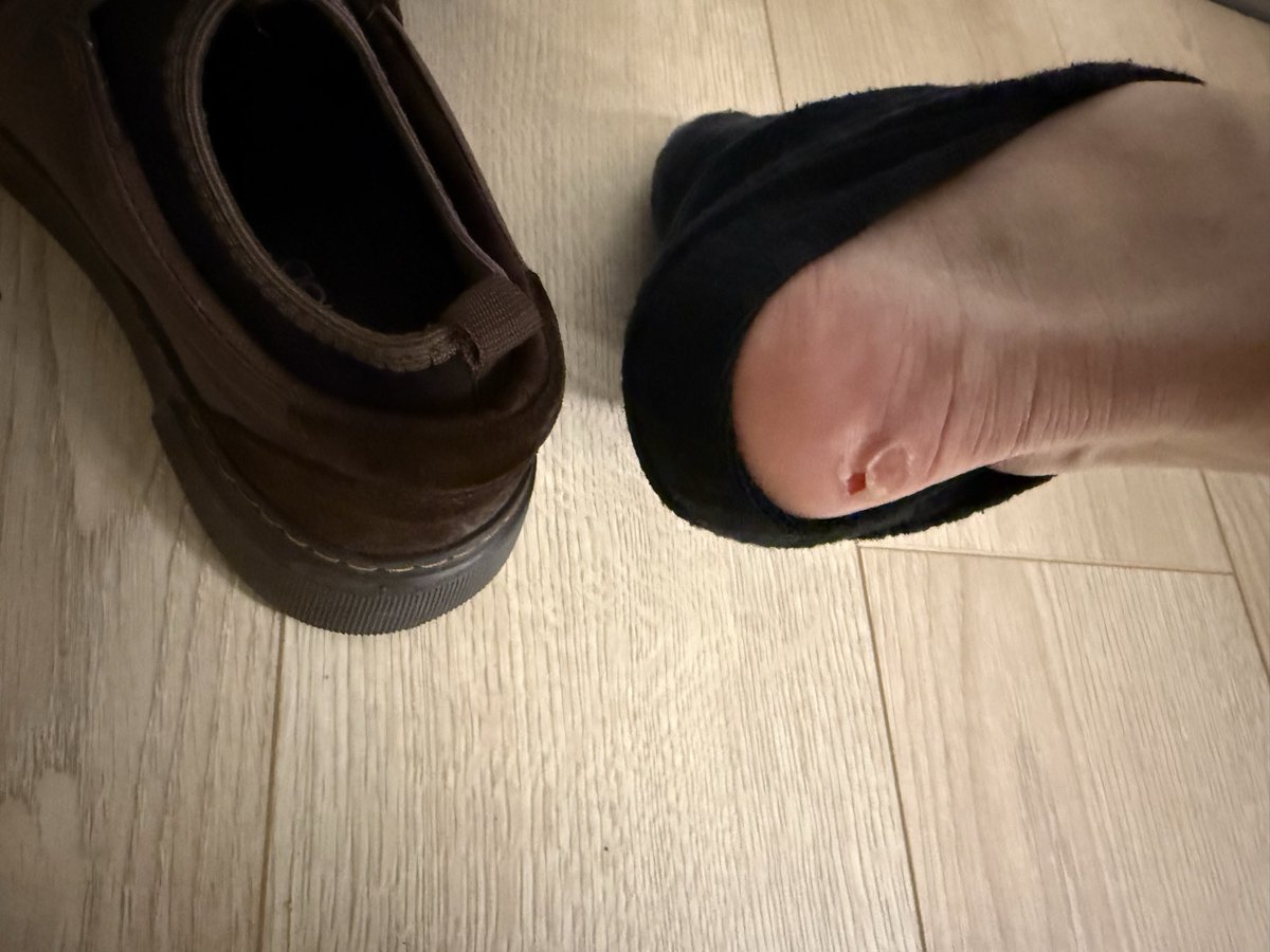 Mücolii tweet media