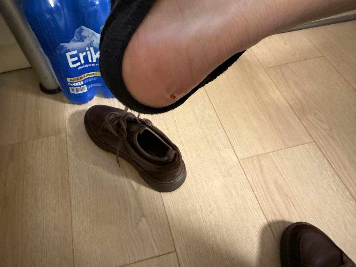 Mücolii tweet media