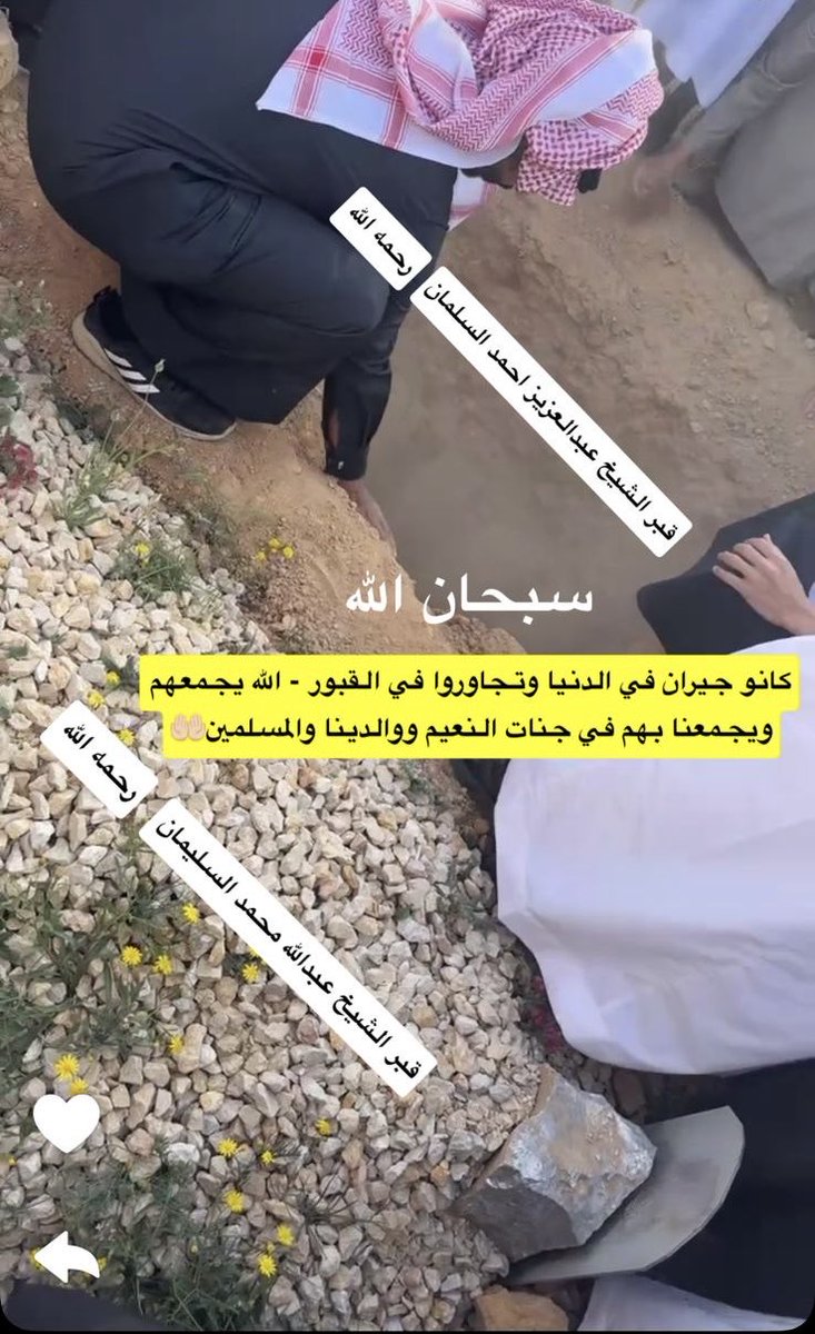 محمد السليمان tweet media