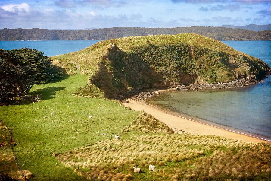 joancarroll's tweet photo. Stewart Island New Zealand Landscape https://t.co/j2dTudKTLq #newzealand #landscape #landscapephotography #stewartisland #island @joancarroll https://t.co/W8iiR2UGjO