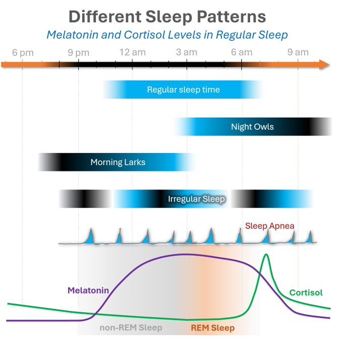 2. Deep sleep

Sleep debt raises cortisol by up to 45% the next day.

Studies show:
• Deep sleep sup...