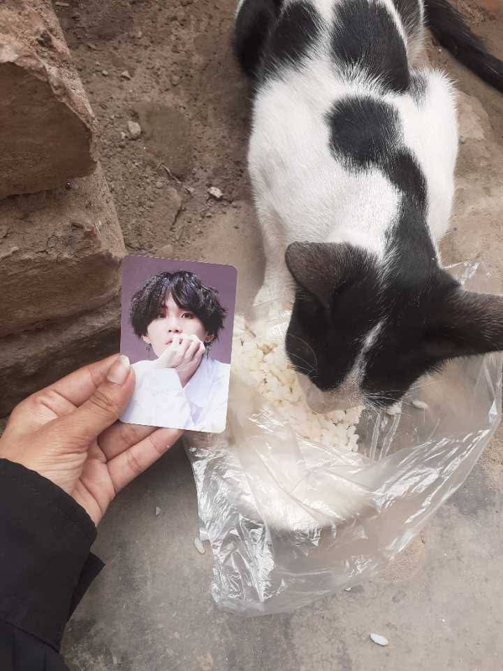 btsbdproject's tweet photo. HAPPY BIRTHDAY MIN SUGA!!!!

Project 1🍊
Until We Find Seol সাকসেসফুলি সম্পন্ন হয়েছে। আমাদের ভলেন্টিয়র টিম নিজেরা মাছ ভাত মাংস রান্না করে স্ট্রিট এ্যানিমেলদের দিয়েছে। It's too much cute and adorable 🥺

Project 2🍊
এতিমখানায়  শিশুদের খাবার প্রদান করা হয়েছে। কিন্তু যে এতিমখানায় আমাদের যাওয়ার কথা ছিলো সেখানে সকালে কল দিলে জানায় হঠাৎ বাচ্চাদের ছুটি দিয়ে দিয়েছে। তখন আমরা এর আগে আয়োজন করা মহিলা এতিমখানায় যোগাযোগ করি এবং খাবারের ব্যবস্থা করা হয়। 

🍊এবং অসহায় বিধবা মহিলার বাসায় ১ মাসের রেশন পৌঁছে দেয়া হয়েছে।

🍊 তাছাড়া @LottiesxWorld এর নেতৃত্বে আয়োজিত পার্পল হার্ট প্রজেক্টের কালেকশন চালু রয়েছে। আপনারা অনুগ্রহ পূর্বক  দ্রুত কনট্রিবিউটের চেষ্টা করবেন।

সব মিলিয়ে বাঙালী আর্মিদের Yoongi Day স্বরণীয় করে রাখার মতো ছিলো। এইবার আমরা খুব বেশি ছবি দিতে পারলাম না। কারণ হঠাৎ পরিবর্তন আসায় সময় খুব কম থাকায় আমাদের এ্যাডমিন প্যানেল বা ভলেন্টিয়ার টিম স্পটে পৌঁছাতে পারেনি। 

আমাদের উপর বিশ্বাস রেখে আমাদের সাথে থাকার জন্য ধন্যবাদ। আগামীতেও আপনাদের পাশে চাই।
 
#btsbdproject 
#untilwefindseol 
#littletangerine