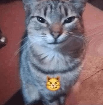 CallMeCass tweet media