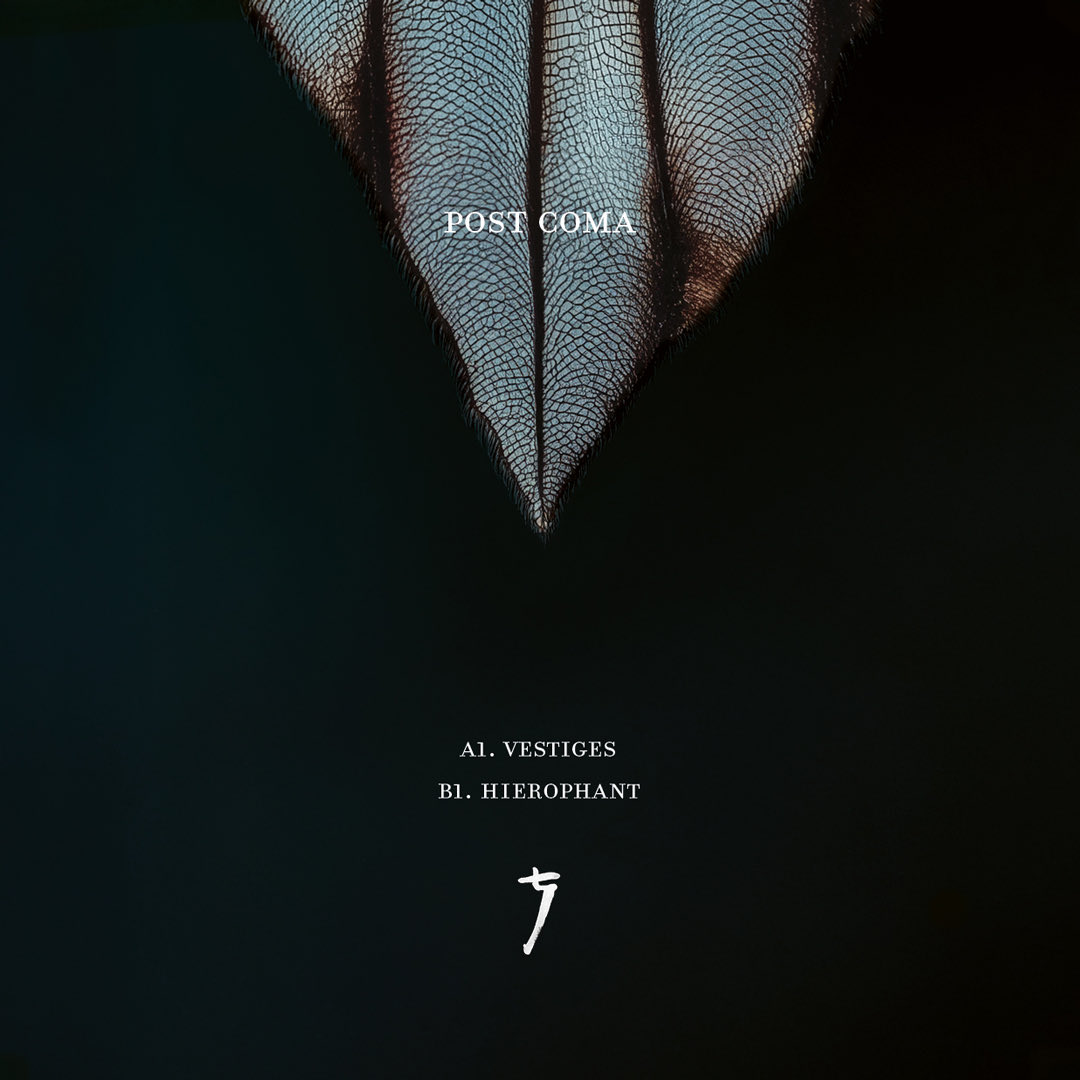 psyché tropes tweet media