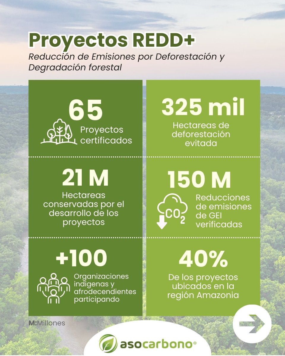 Asocarbonocol's tweet photo. 📊 Soluciones Basadas en la Naturaleza: cifras que muestran su impacto en el mercado de carbono

Los proyectos REDD+ y de FR están impulsando la conservación de bosques, la reducción de emisiones y el desarrollo de comunidades en el país.
#MercadoDeCarbono #SbN #AcciónClimática https://t.co/Fr1ZwzMcZl