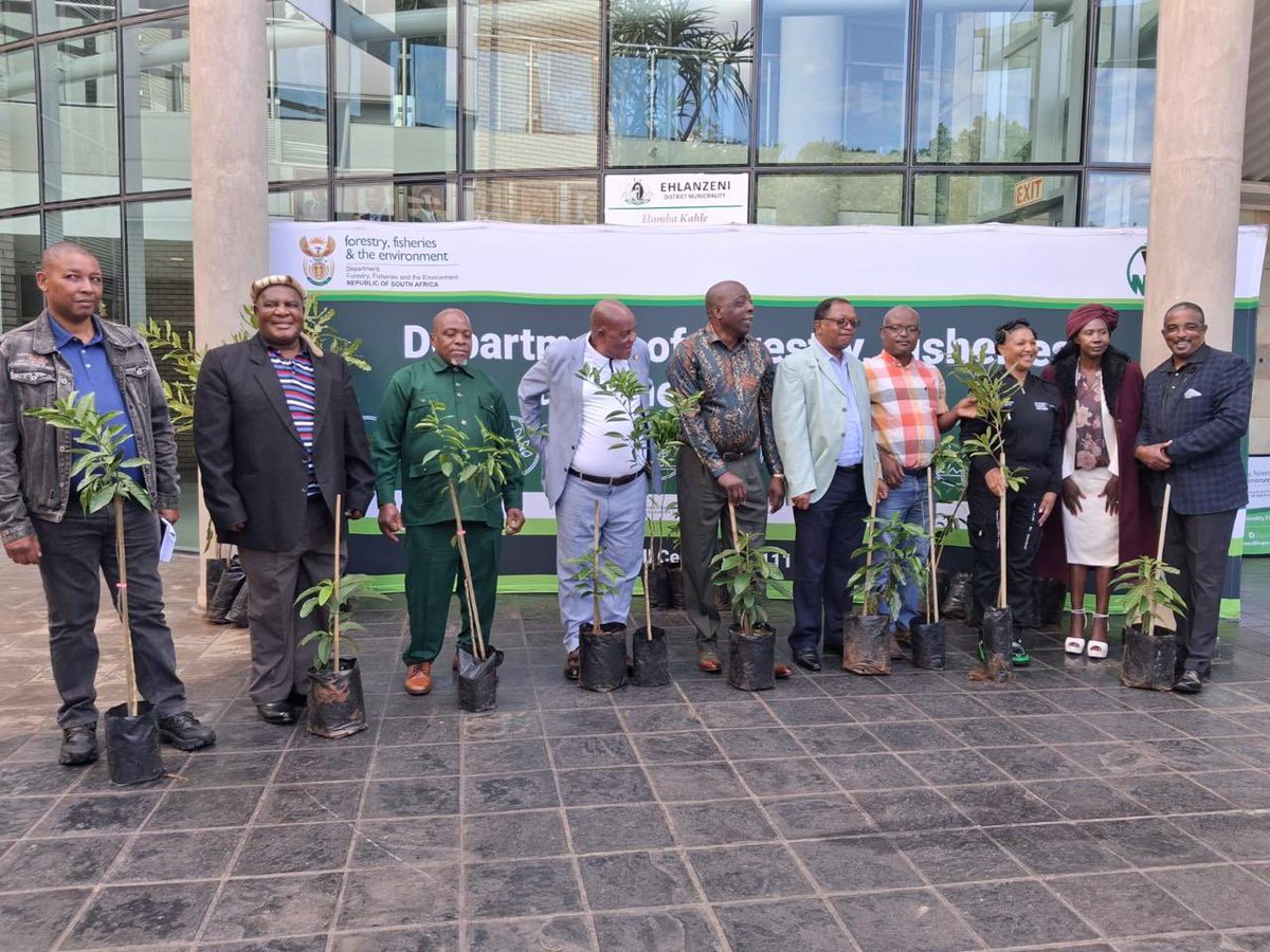 Today as part of the two day DDM Oversight program, Deputy Minister Bernice Swarts led a stakeholder engagement with Amakhosi of Ehlanzeni District Municipality in her capacity as DDM Champion to Mpumalanga. 🇿🇦🇿🇦

#MyTreeMyOxygenPlantYoursToday