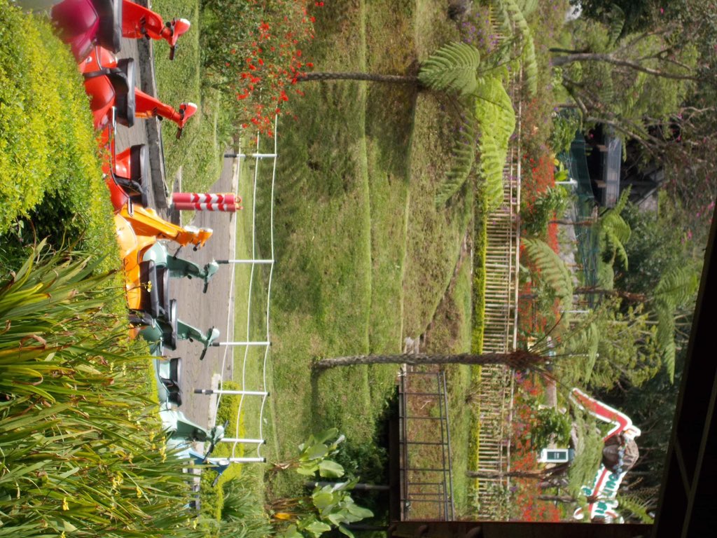 ⋆. 𐙚 Raaa tweet media