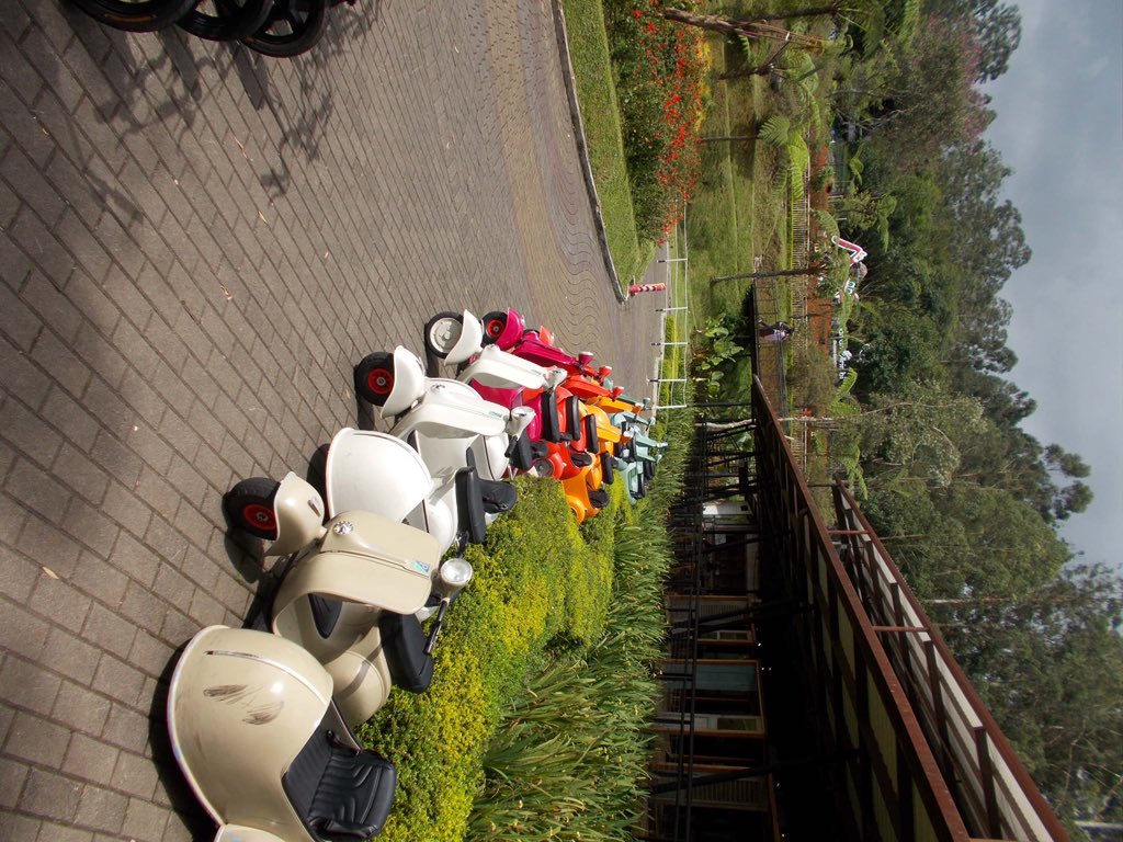 ⋆. 𐙚 Raaa tweet media