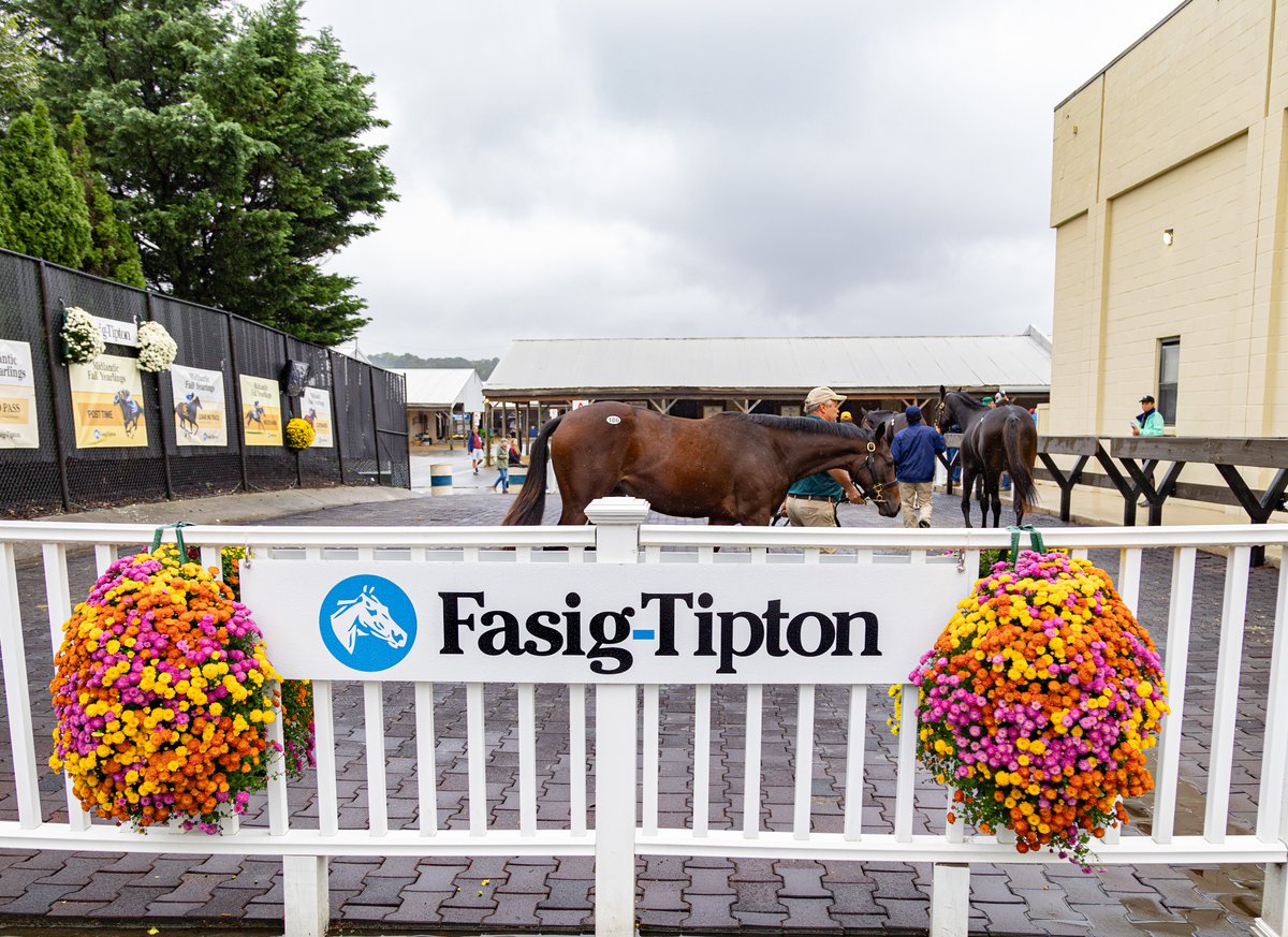 Fasig-Tipton tweet media