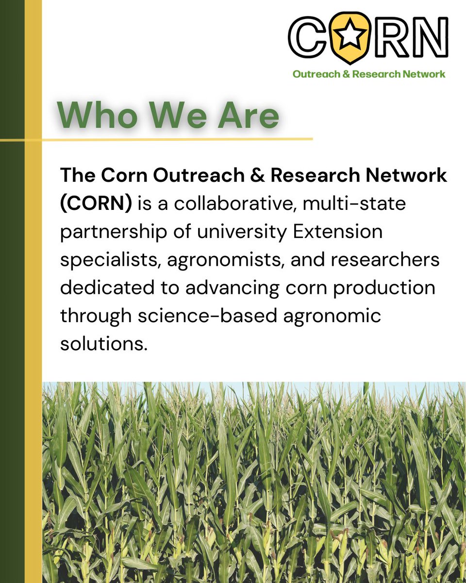 CORN Network tweet media