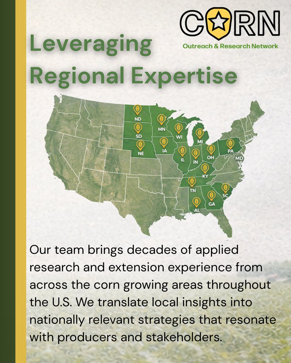 CORN Network tweet media