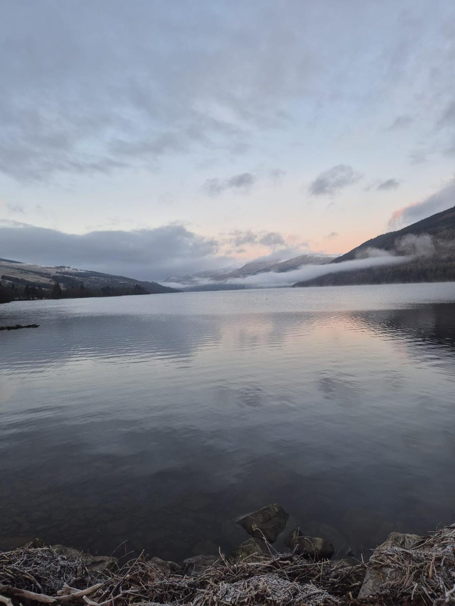 Franny Reilly tweet media