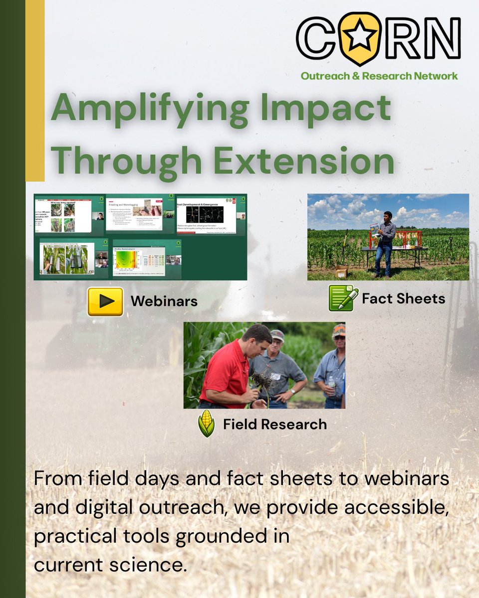 CORN Network tweet media