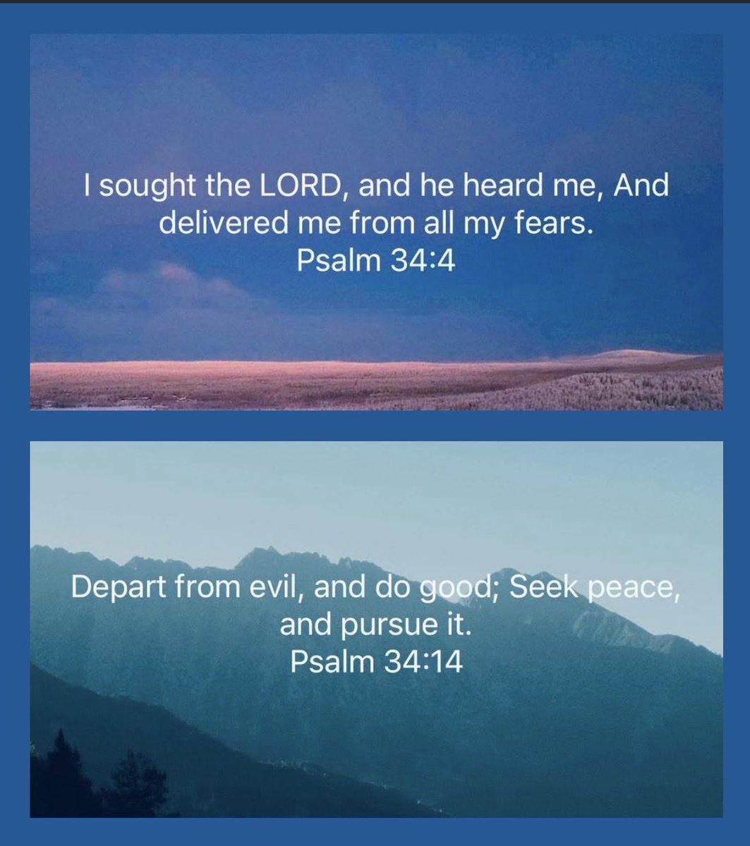 Tim Osborne tweet media