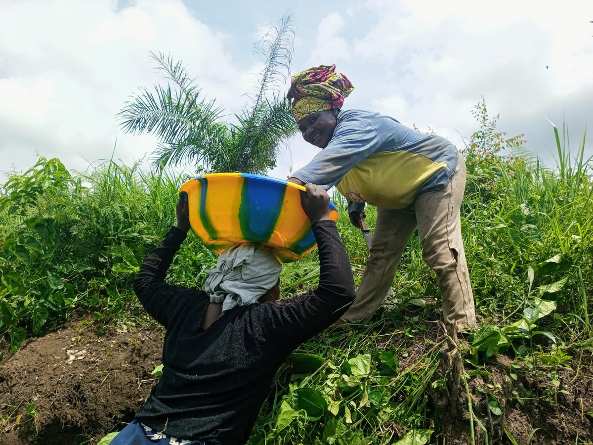 Secrétariat National Du Volontariat tweet media