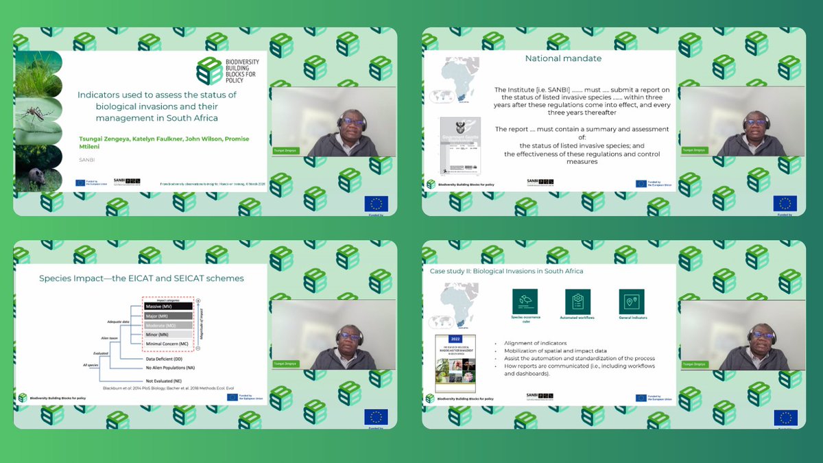 B-Cubed Project tweet media