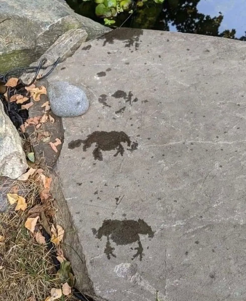 Ink Blot tweet media