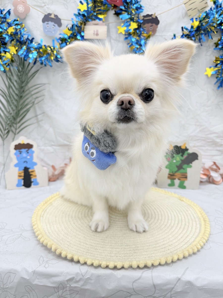 taea🐶 tweet media