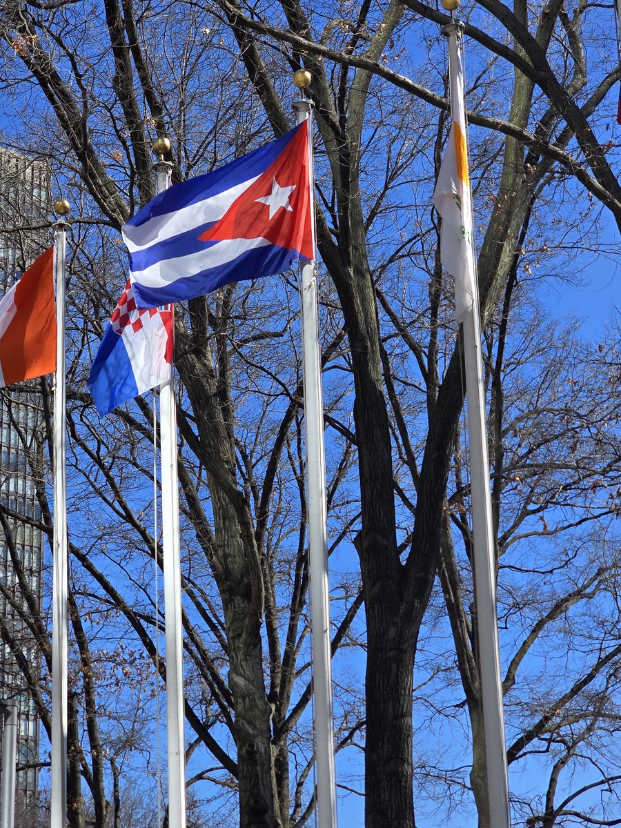 Con mi bandera, con mi patria, con mi terruño siempre. De #Cuba vengo y cubano soy
#TumbaelBloqueo
#CubaEnMiCorazón
#MiBandera
#MiPatria
#MiRevolución