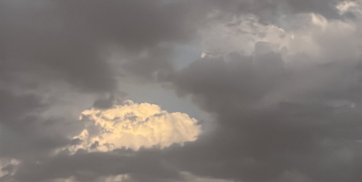 مساء الخير :
عاد انت ياللي تجي مع كل غيم !
الغيمة اليوم —— جات لحالها