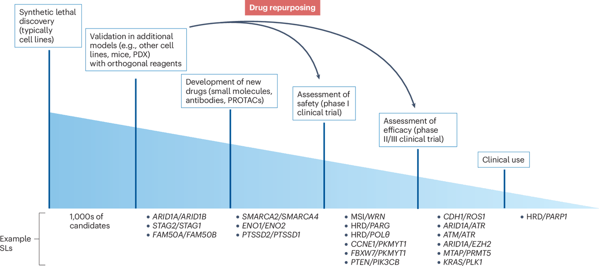 Nature Reviews Drug Discovery tweet media