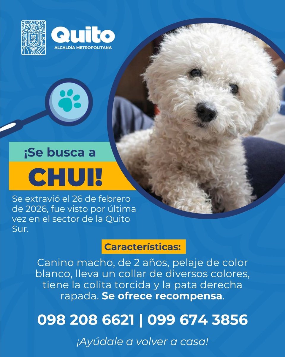 Unidad de Bienestar Animal Quito tweet media