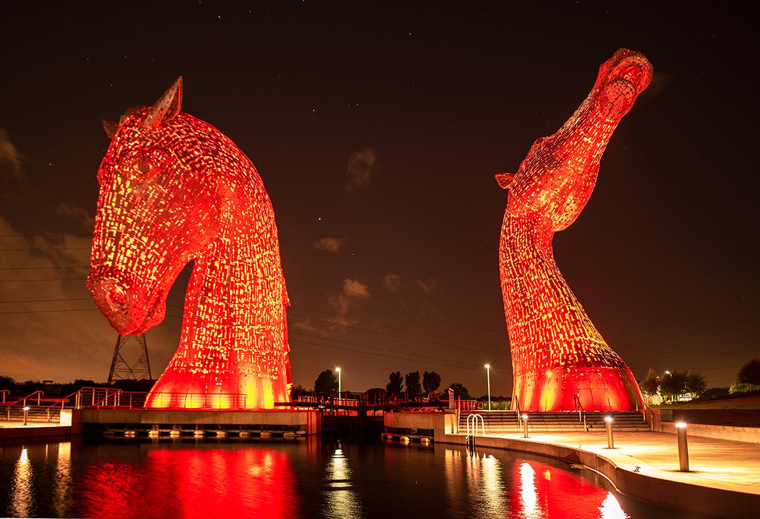 Franny Reilly tweet media