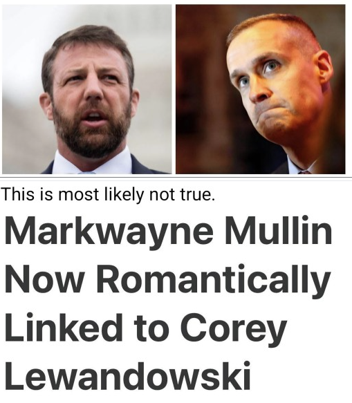 Brown Eyed Susan tweet media