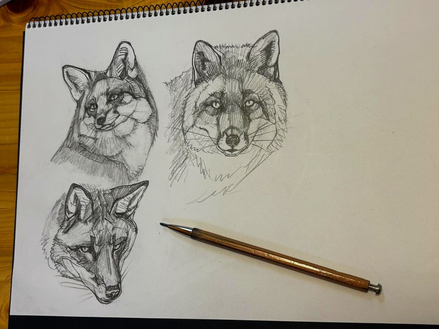 haiiromizunagi's tweet photo. いつもの所ⅠとⅡにて #キツネ #Fox #RedFox #Vulpes #Caninae #Canidae を #大人の鉛筆 を使って #スケッチ #ドローイング 昨日と打って変わって、本種はいつも途中で何を描いているかわからなくなることが多い。スリット型の瞳孔も一発で決まらない事が多く、表情を台無しにしてしまい、悩まされる‥ https://t.co/J8nFYpeEId