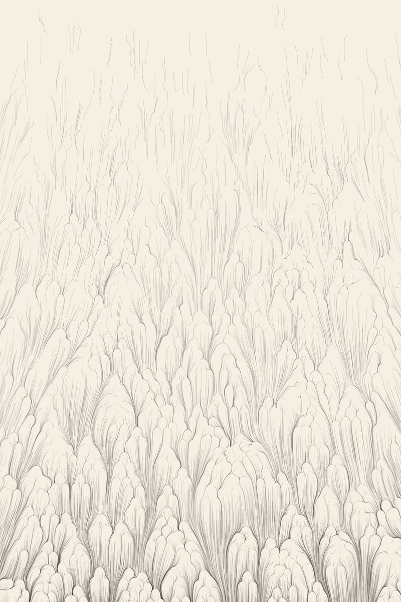 emre meydan tweet media