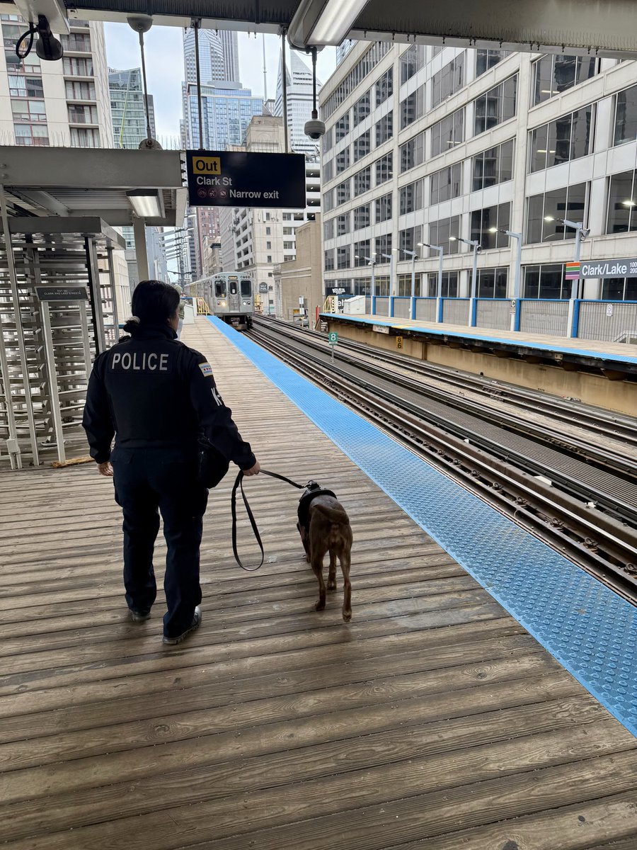 CPD_Transit tweet media