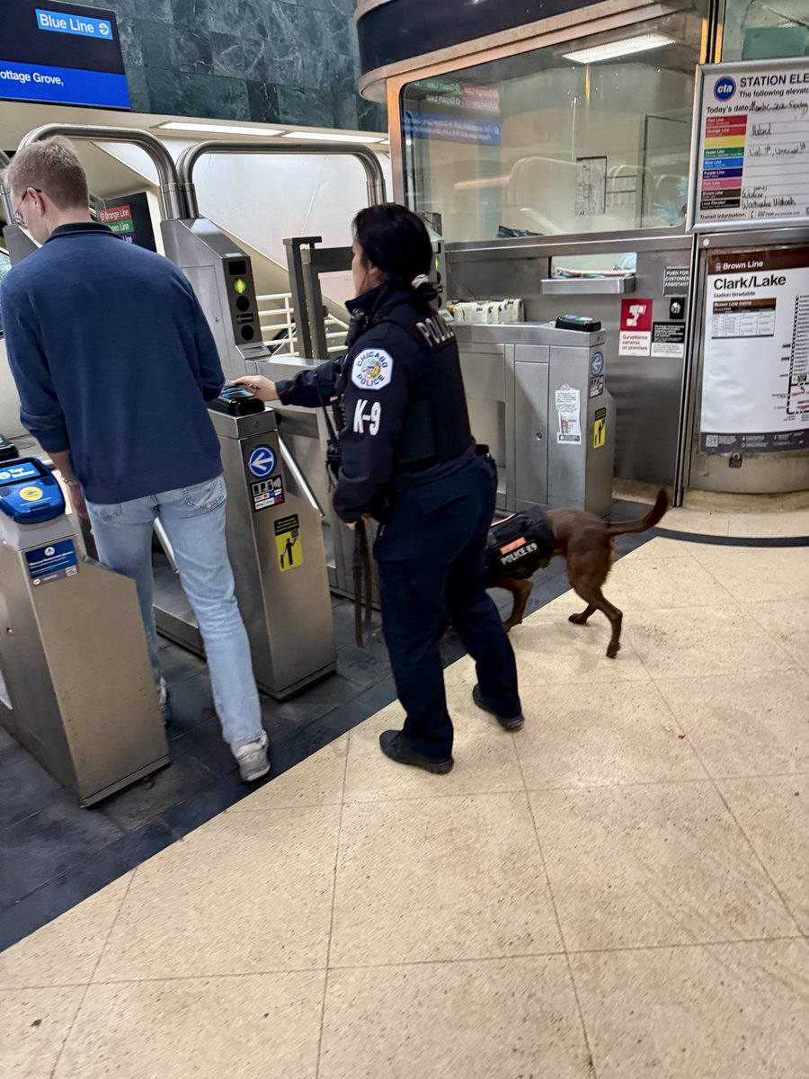 CPD_Transit tweet media