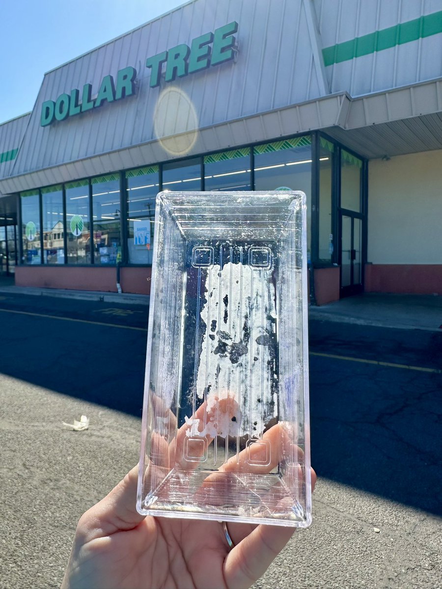 Teresa Hinke tweet media