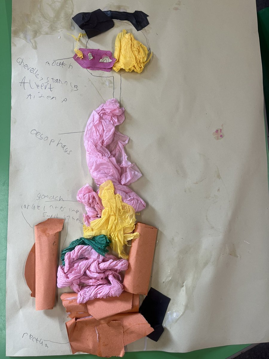 Brompton-Westbrook Science tweet media