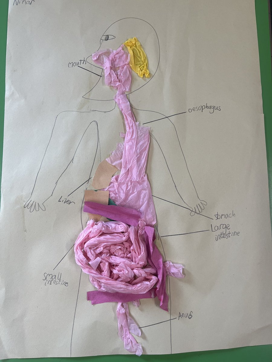 Brompton-Westbrook Science tweet media
