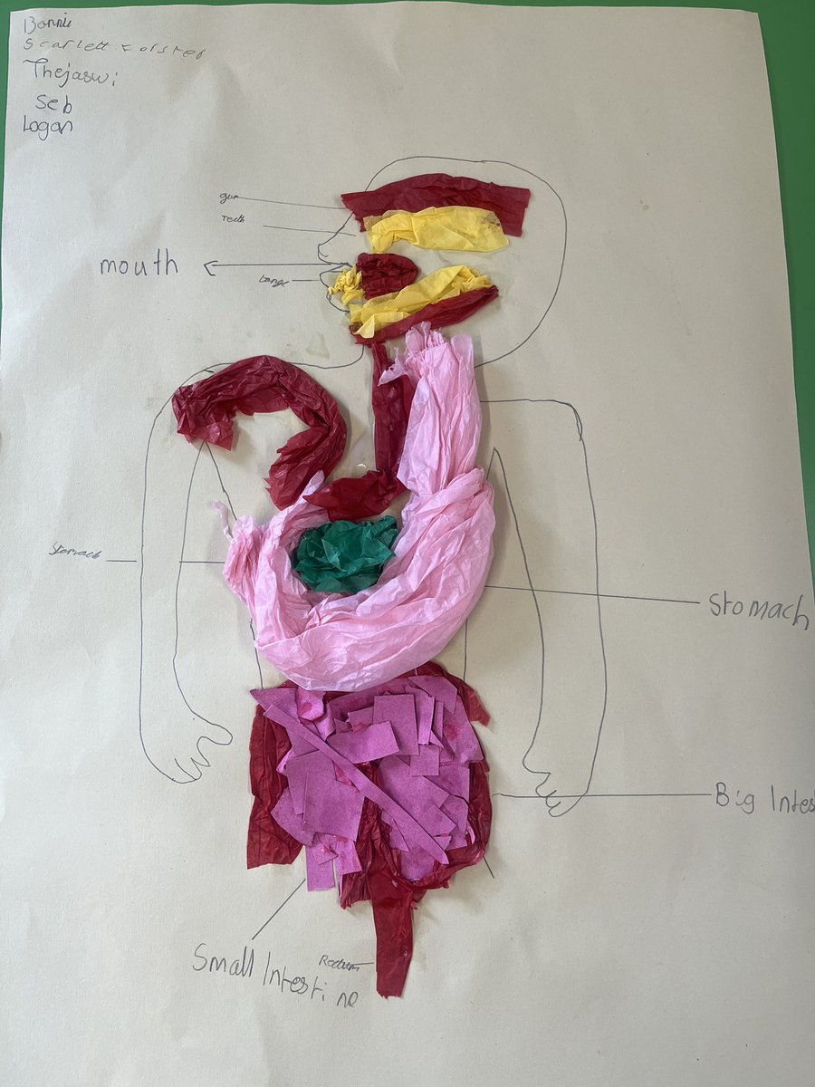 Brompton-Westbrook Science tweet media