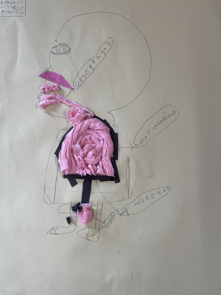 Brompton-Westbrook Science tweet media