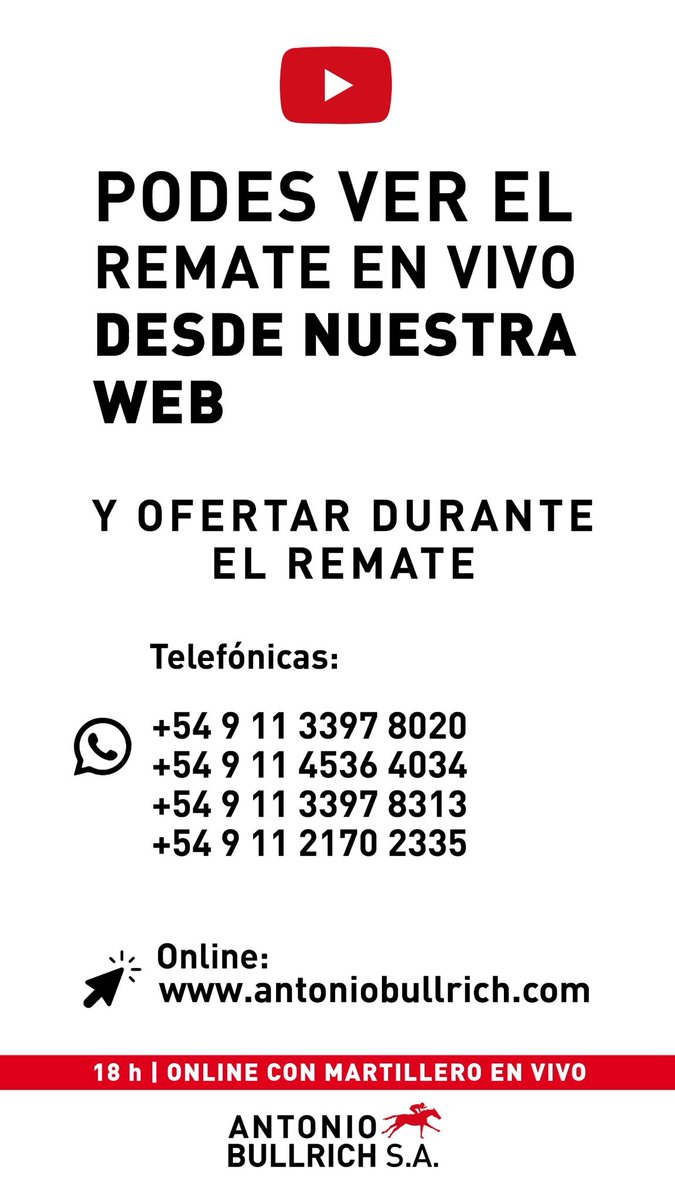 Hoy venta mixta marzo

📅 Lunes 09/03 - 18 h

CÓMO OFERTAR:
- Virtual: registrándose en antoniobullrich.com

- Teléfono/WhatsApp: +54 9 11 4536 4034 o +54 9 11 3397 8020 o +54 9 11 3397 8313.

 Videos 👉🏼 youtube.com/playlist?list=…

Catálogo Digital 👉🏻 antoniobullrich.com/attachments/re…