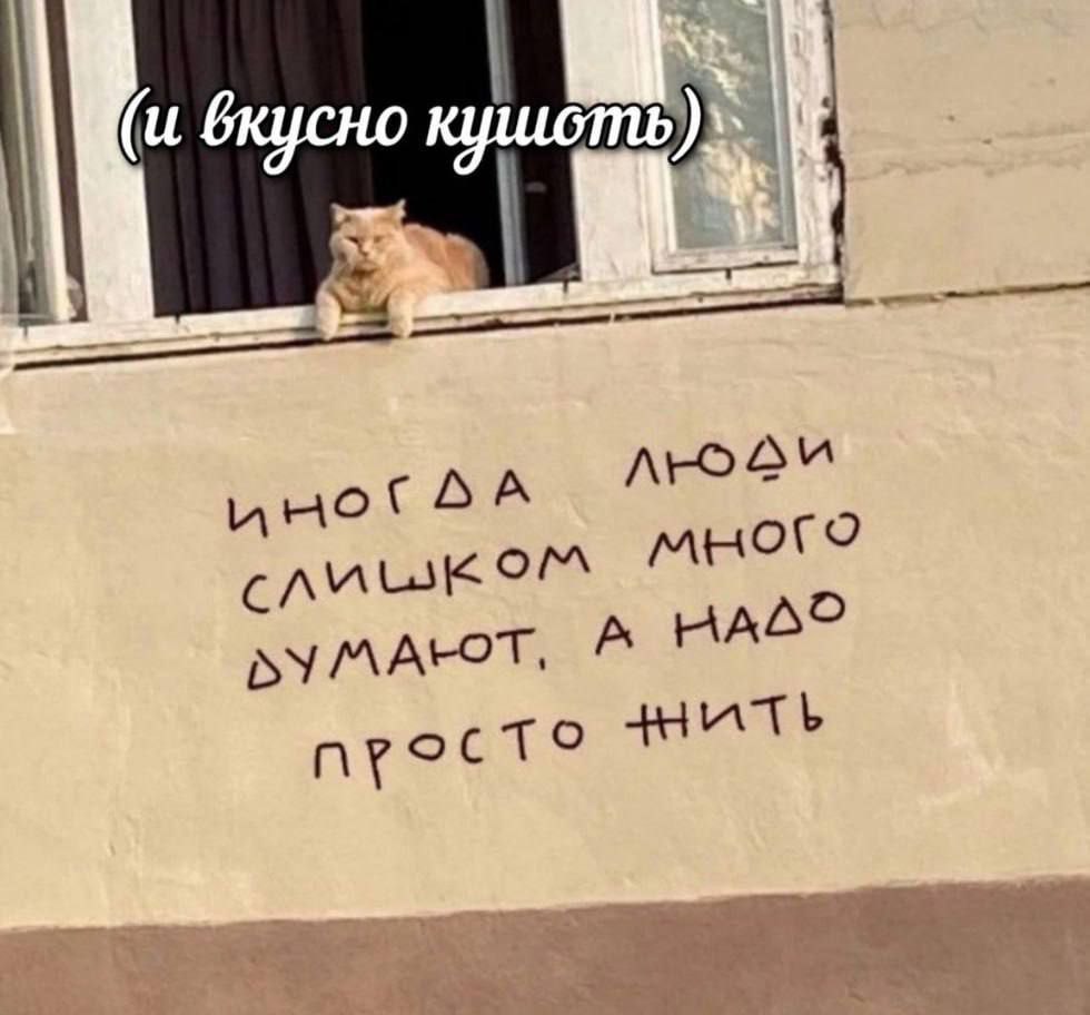совет дня