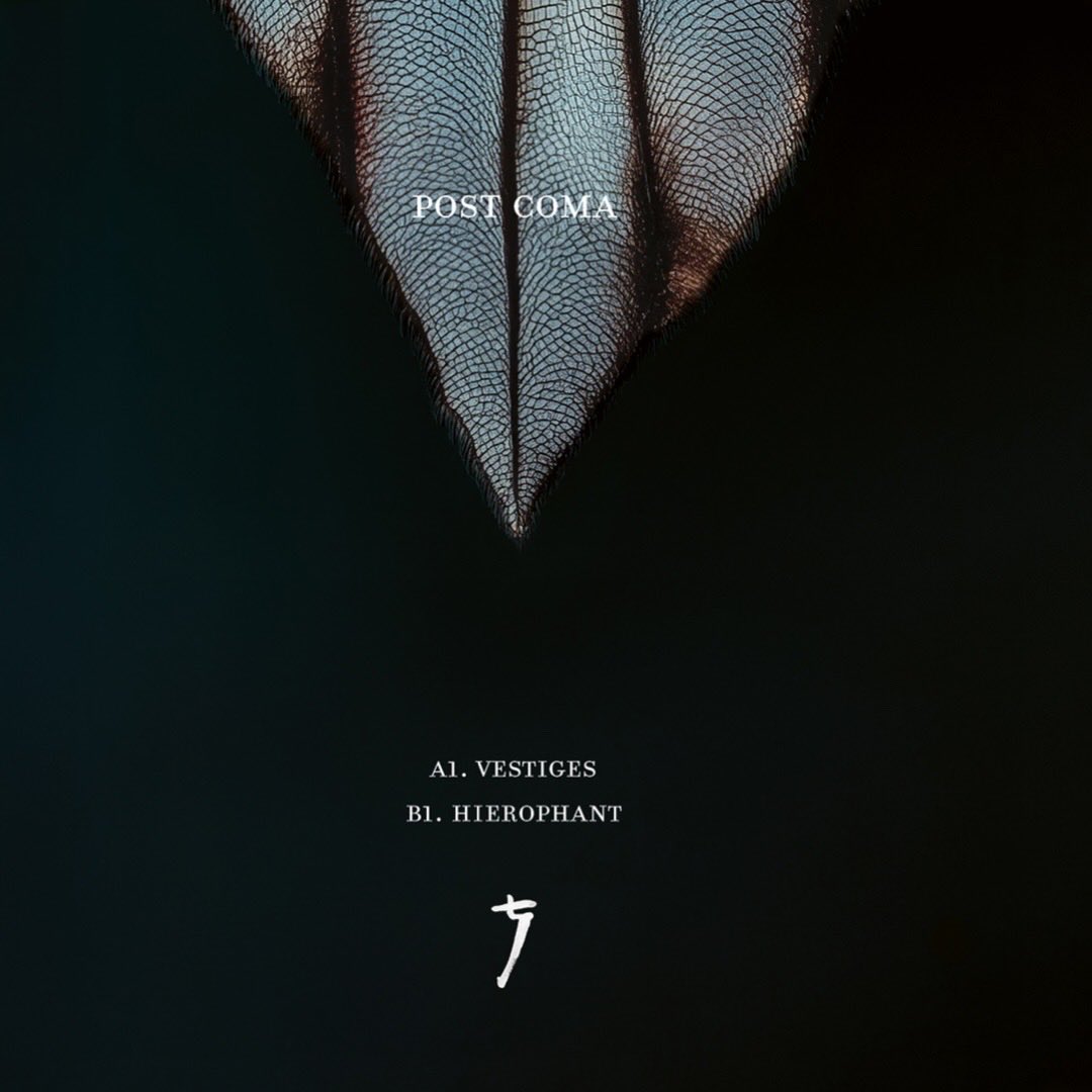 FilmProcessor tweet media