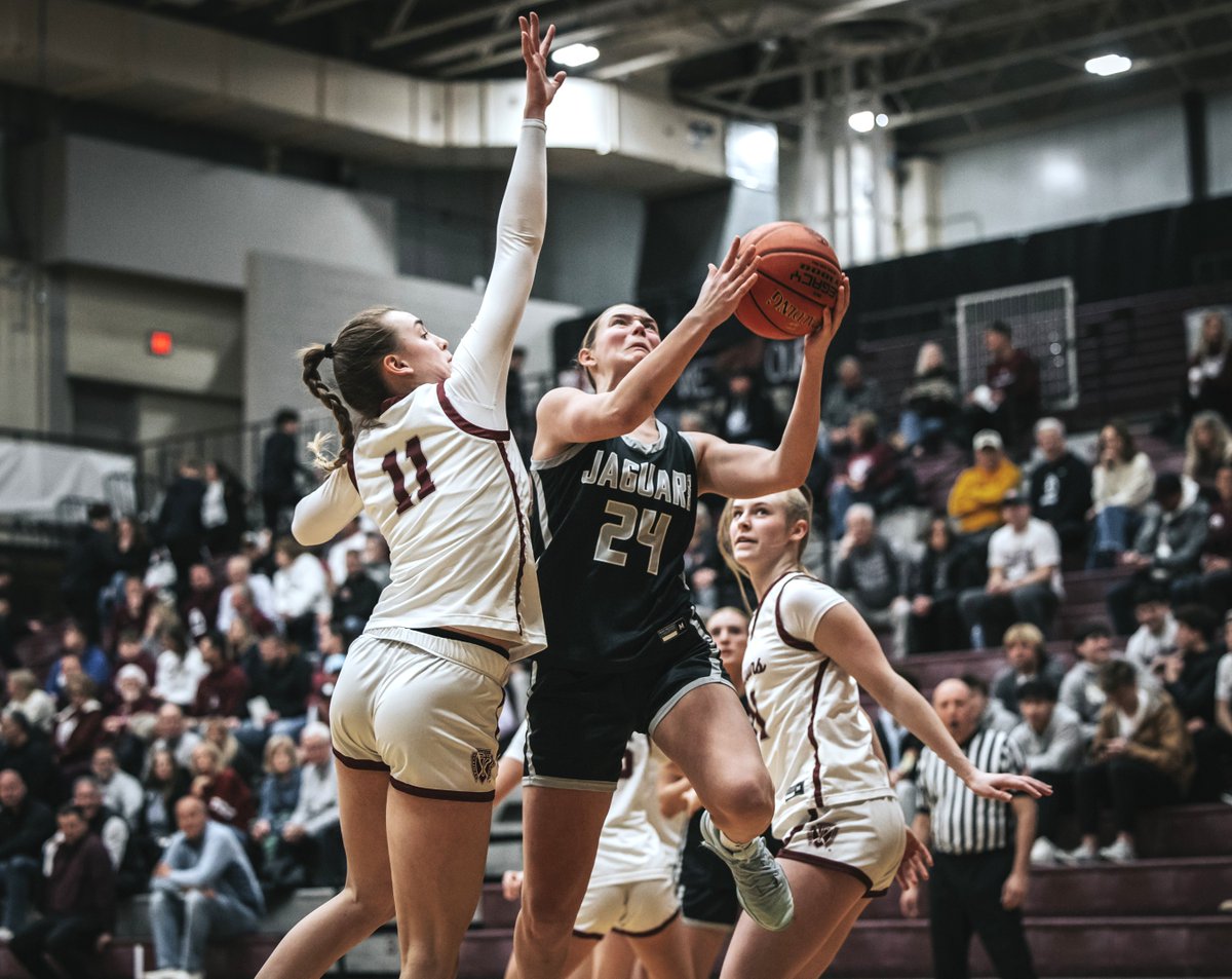 ANKENY FANATIC tweet media