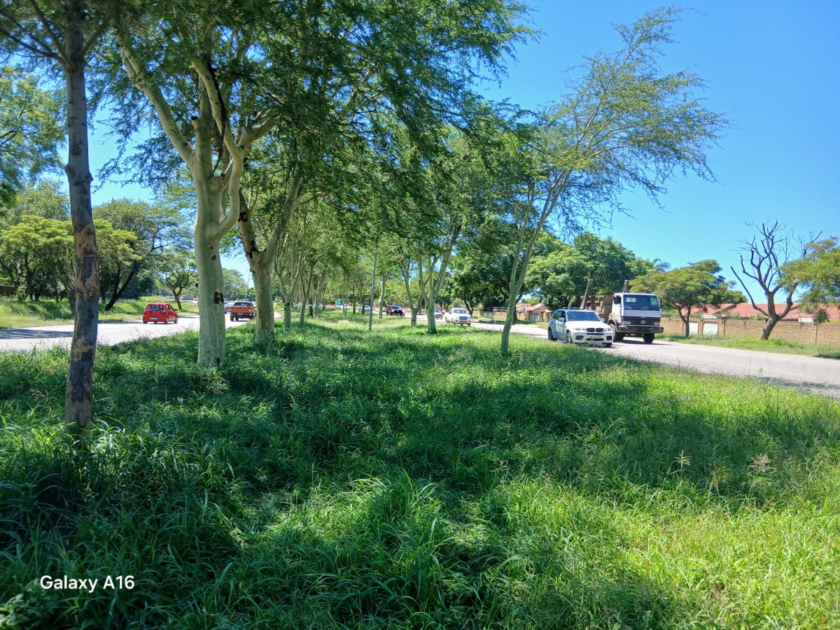 Rambohannes's tweet photo. Grass cutting region 2 , in sefako makghato drive ward 50
Service delivery in a city of excellence https://t.co/jpd2gRDc0O