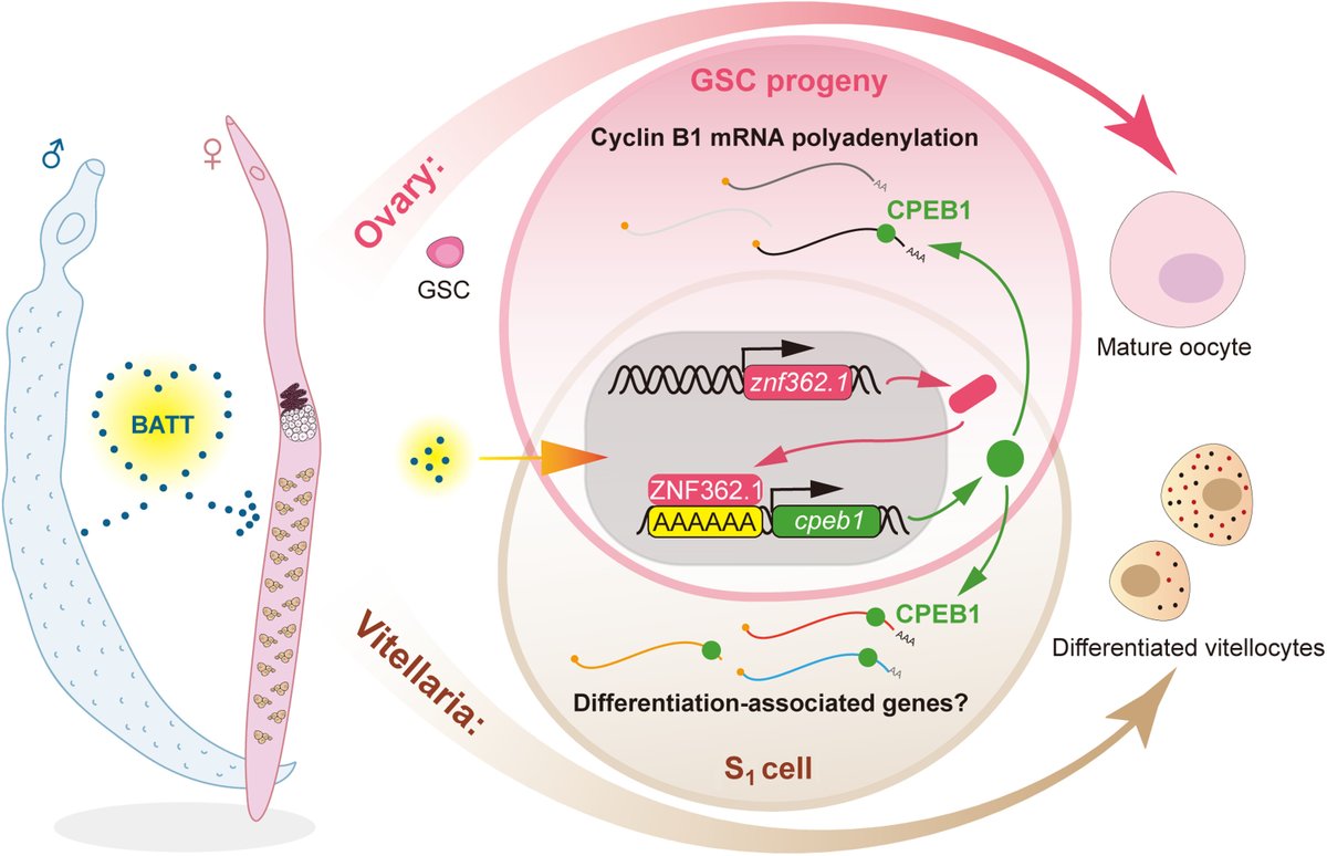 Science Advances tweet media
