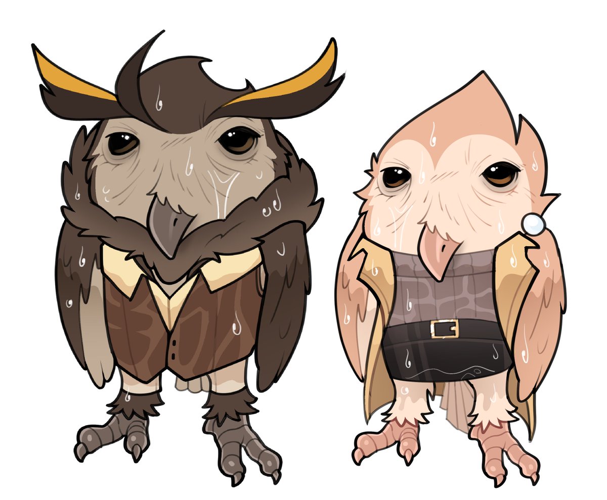 Budoti 🔜 TFF tweet media