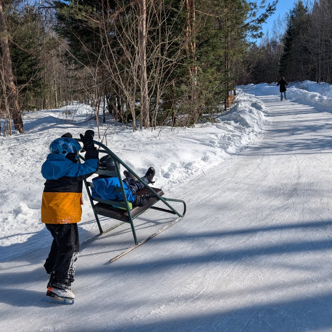 Sentier Transcanadien 🇨🇦 tweet media