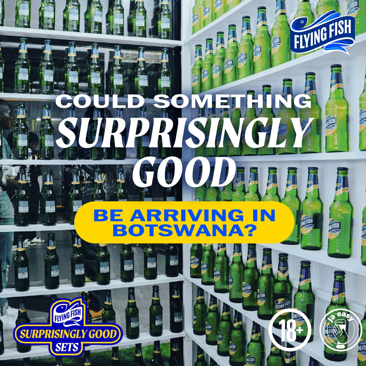 flyingfishbw tweet media
