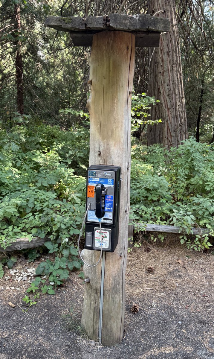 Kali 🅅 🏳️‍⚧️🛠️ tweet media