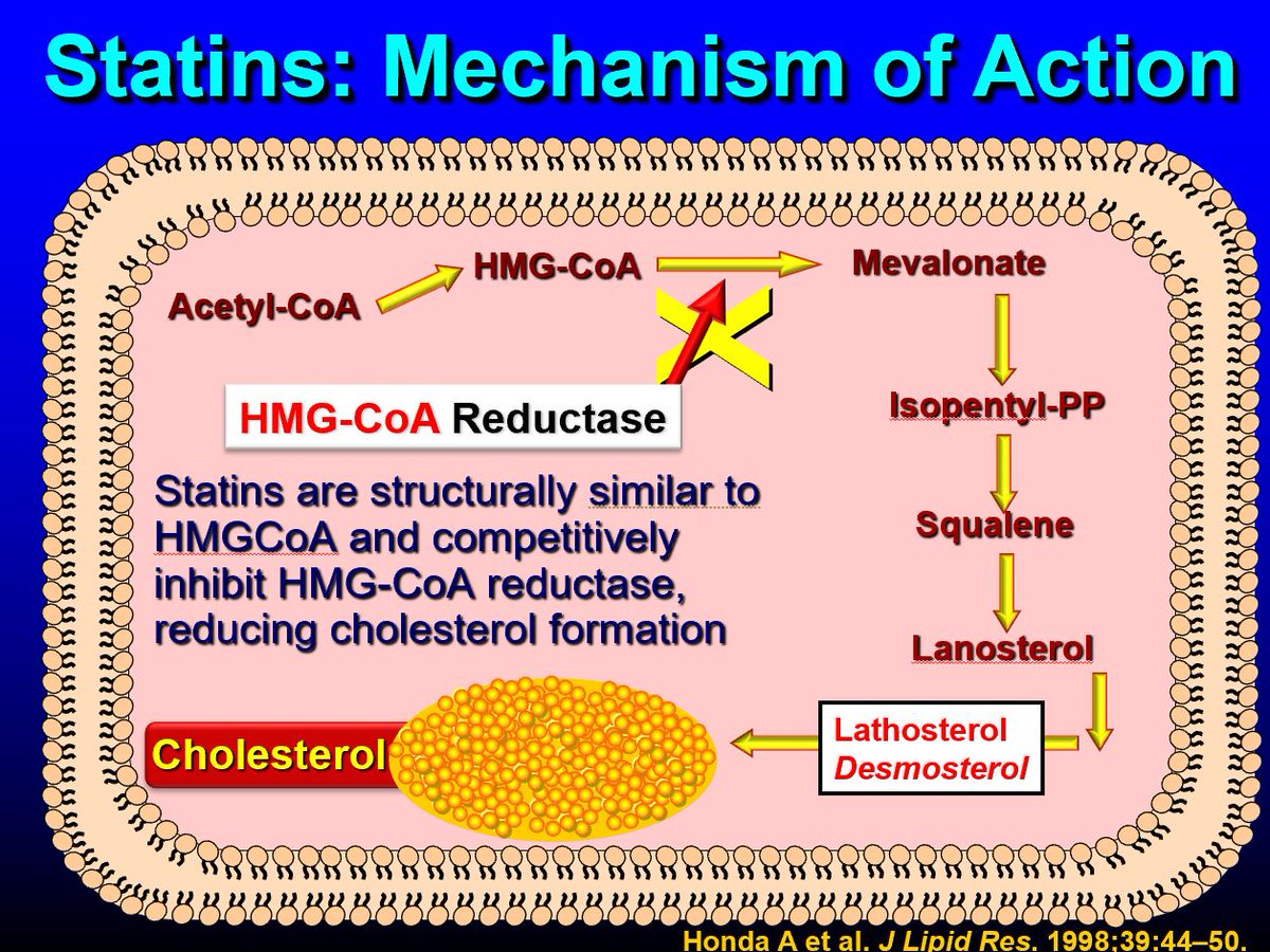 Thomas Dayspring tweet media