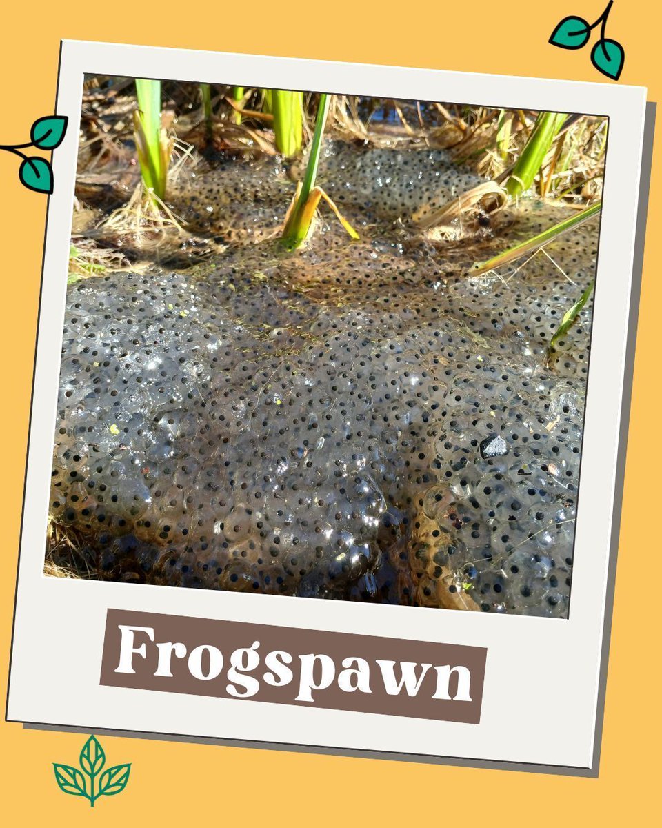 Field Studies Council tweet media